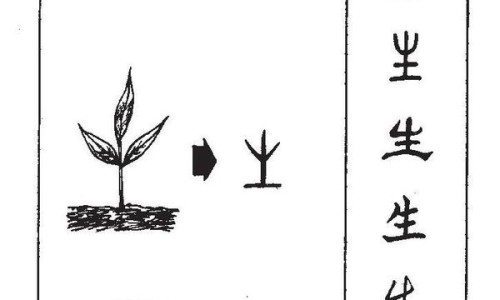 带花的黄瓜吃法视频-带花的黄瓜吃法网 :分享带花的小黄瓜怎么做好吃-带花的黄瓜不能吃是真的吗知识